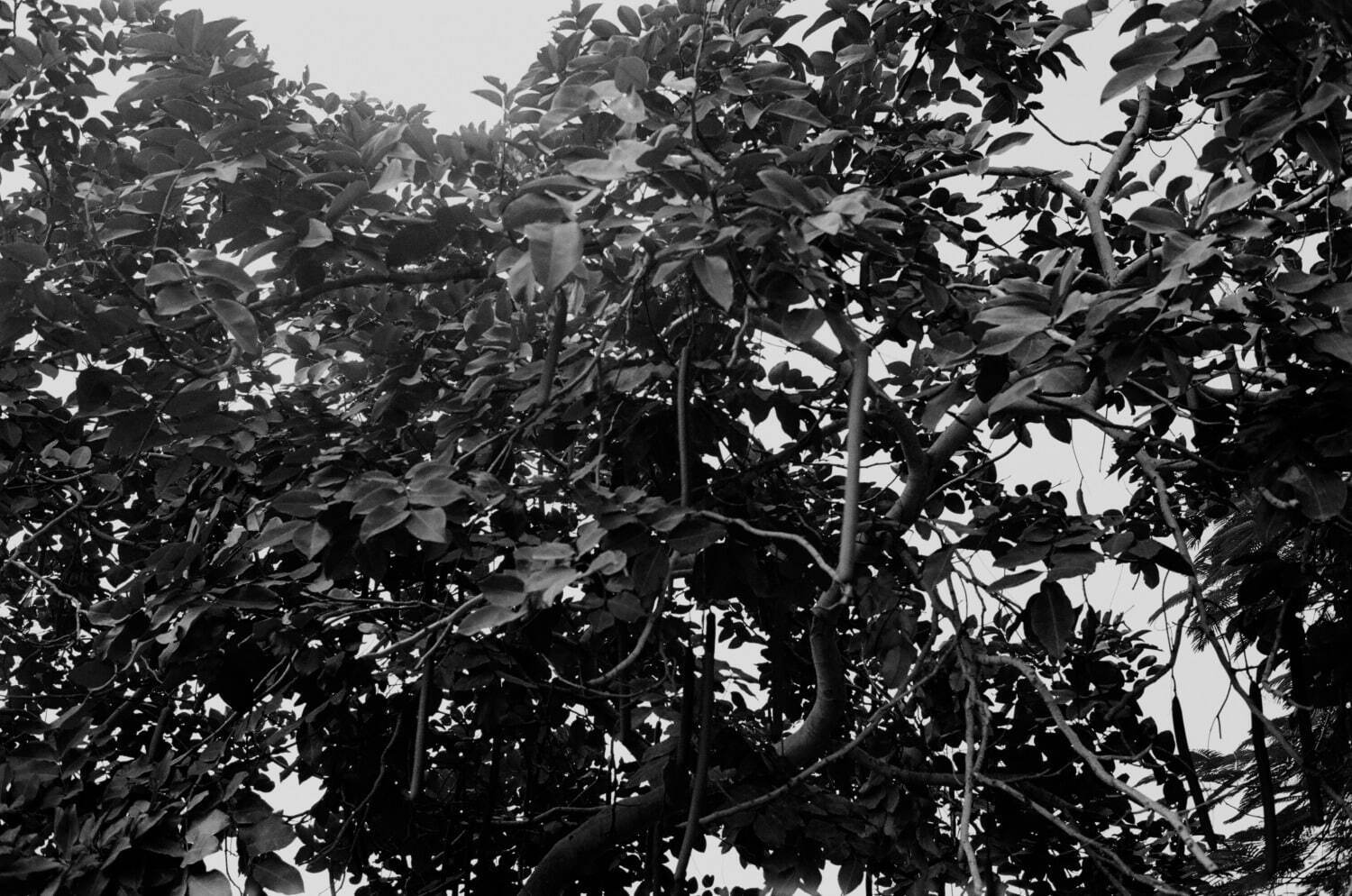 タド(TADO) 2024年春夏ウィメンズコレクション  - 写真18