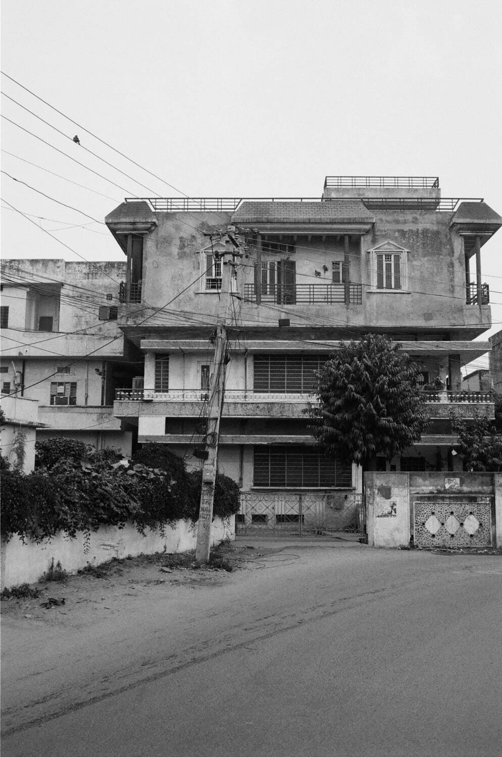 タド(TADO) 2024年春夏ウィメンズコレクション  - 写真19