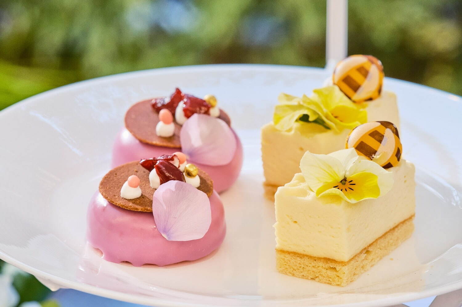 テディベア「ハーマンテディ」の“いちご×ハチミツ”アフタヌーンティー、東京・大阪ほか全国8か所で｜写真5