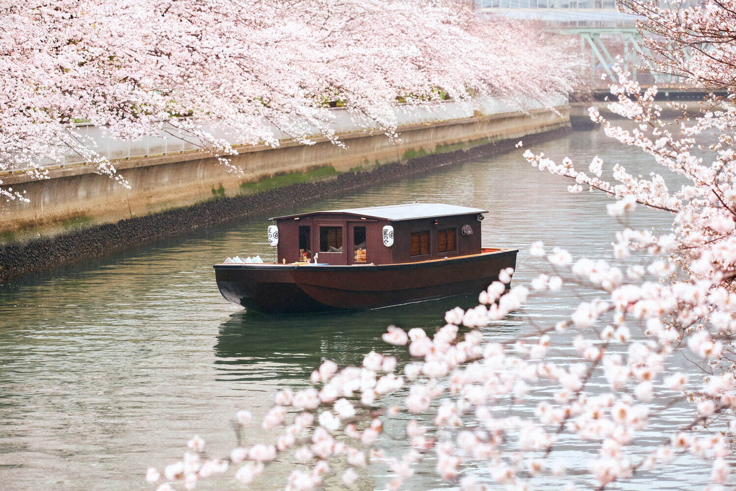 「春日向の花見舟」1組140,000円 ※1日1組限定