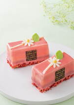 ゴディバ(GODIVA) 花｜写真1