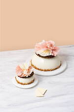 ゴディバ(GODIVA) 花｜写真3