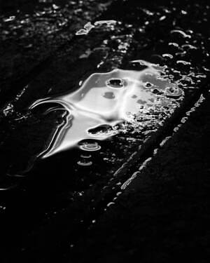 アルクフェニックス(alk phenix) 2024年春夏メンズコレクション  - 写真5