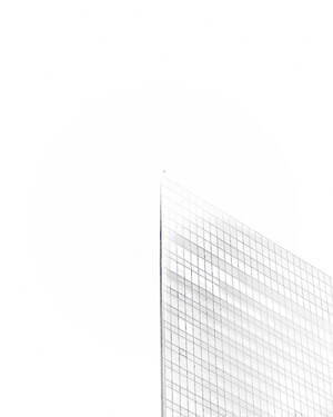 アルクフェニックス(alk phenix) 2024年春夏メンズコレクション  - 写真6