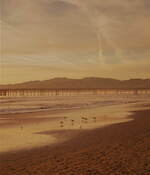 ウィンダンシー×J.プレス オリジナルス、"アイビーリーグ風"エンブレム付きダブルジャケットなど7型｜写真92