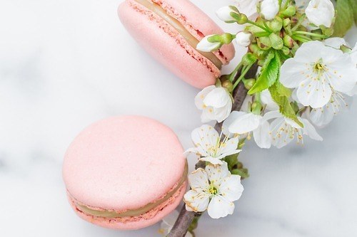 ラデュレ“桜クリーム”を挟んだ春限定マカロン、桜ショートケーキなどパティスリーも