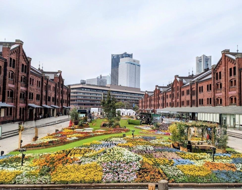 横浜赤レンガ倉庫「フラワー ガーデン 2024」約2万株の花が咲く“不思議な花畑”、キッチンカー出店も｜写真3