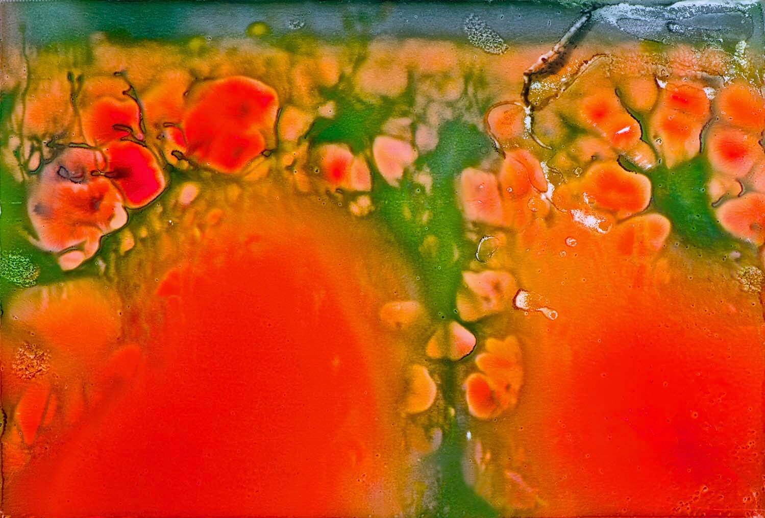 藤原更 《Melting petals 01》 撮影：2007年 制作：2013年 ヤマザキマザック美術館蔵