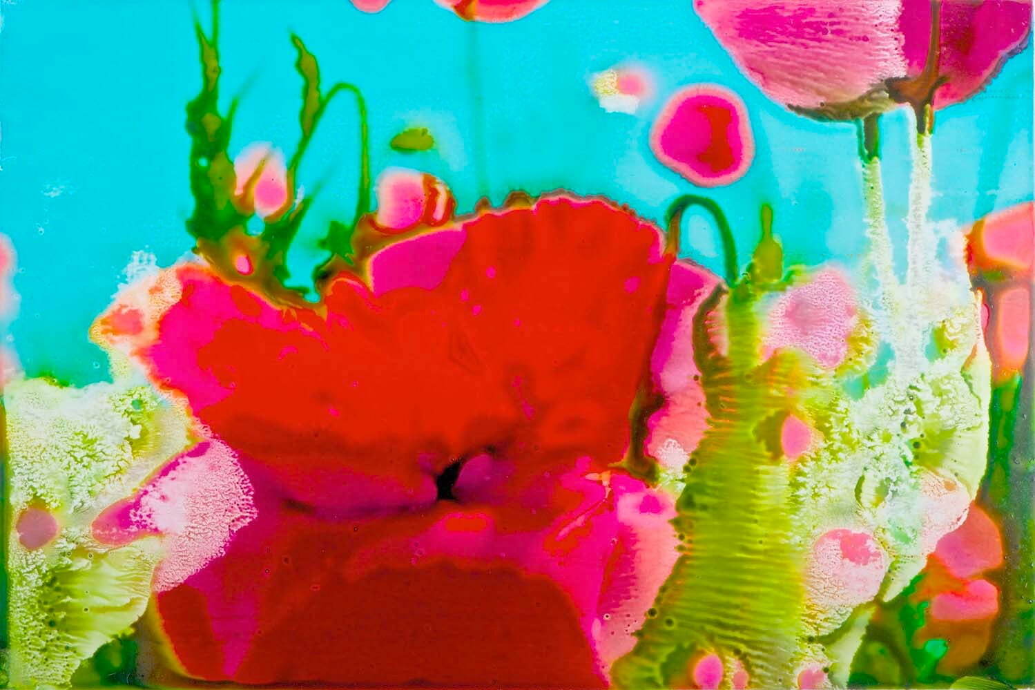 藤原更 《Melting Petals 05》 撮影：2016年 制作：2019年 個人蔵