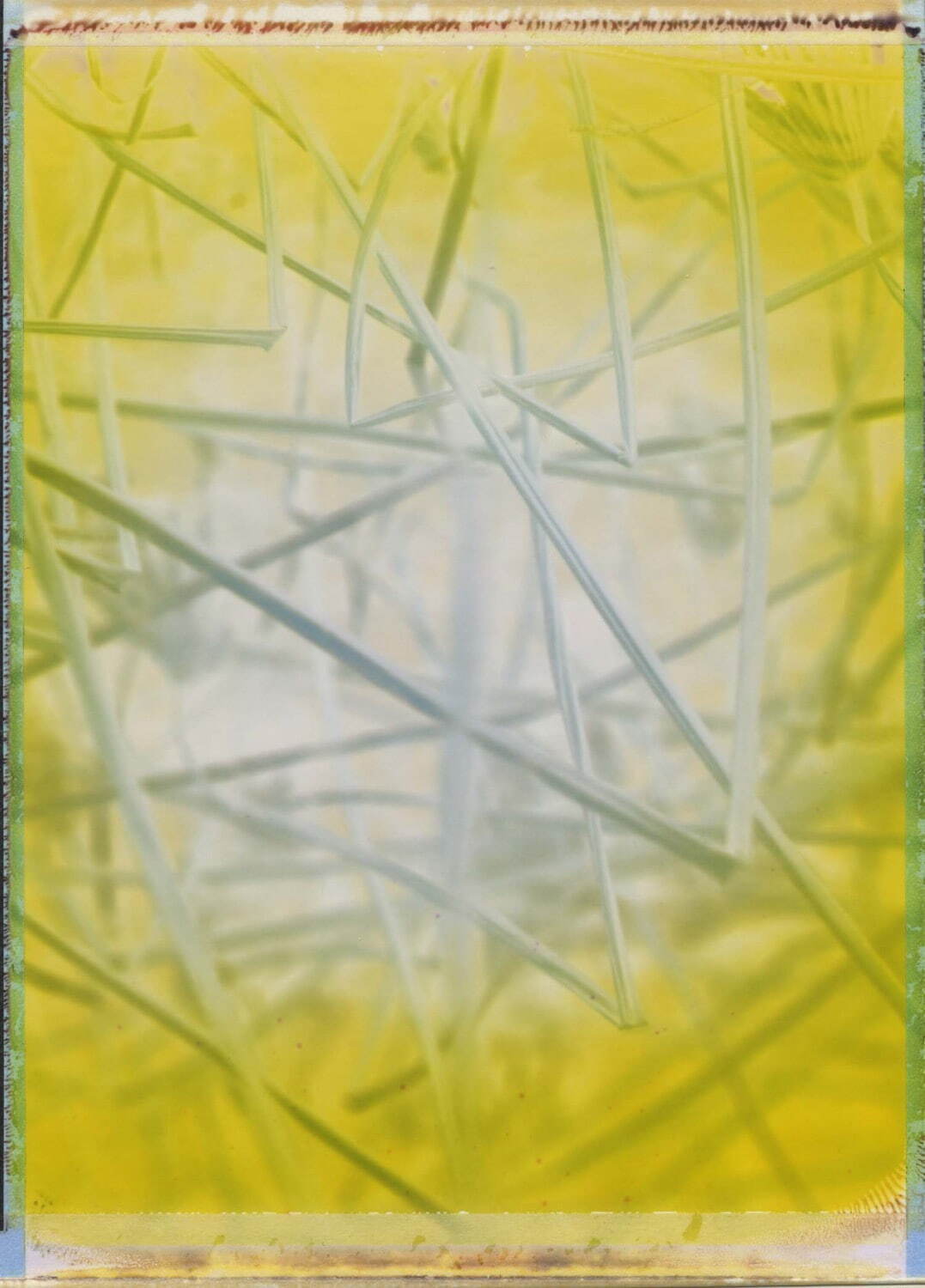 藤原更 《Neuma 04》 撮影・制作：2011年 個人蔵