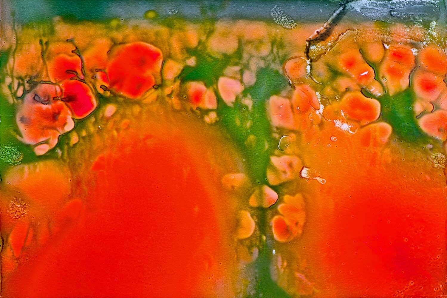 美術館｜藤原更の展覧会、名古屋・ヤマザキマザック美術館で - 写真では捉えられない記憶を“光で描く”