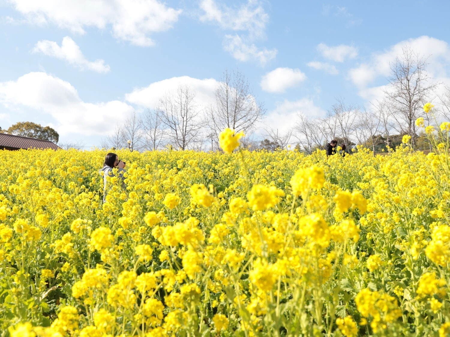 【春イベント2024年】東京ほか全国開催のグルメフェス＆お花見イベント、春のお出かけおすすめスポット｜写真12