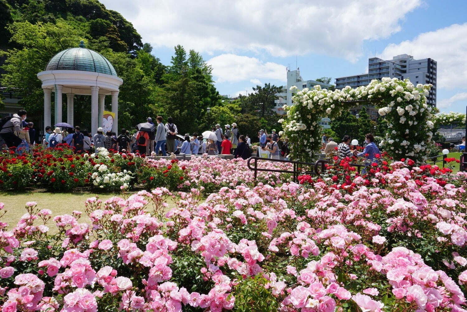 【春イベント2024年】東京ほか全国開催のグルメフェス＆お花見イベント、春のお出かけおすすめスポット｜写真38