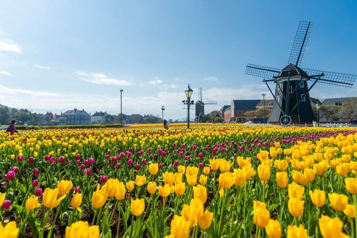 【春イベント2024年】東京ほか全国開催のグルメフェス＆お花見イベント、春のお出かけおすすめスポット