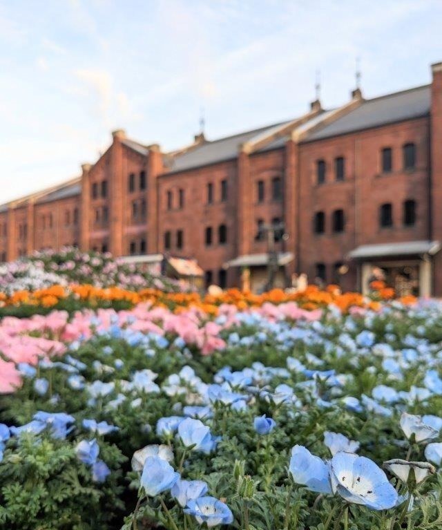 春イベント2024年【関東編】東京・首都圏のおでかけ＆グルメフェス、おすすめ花見イベントも紹介｜写真1