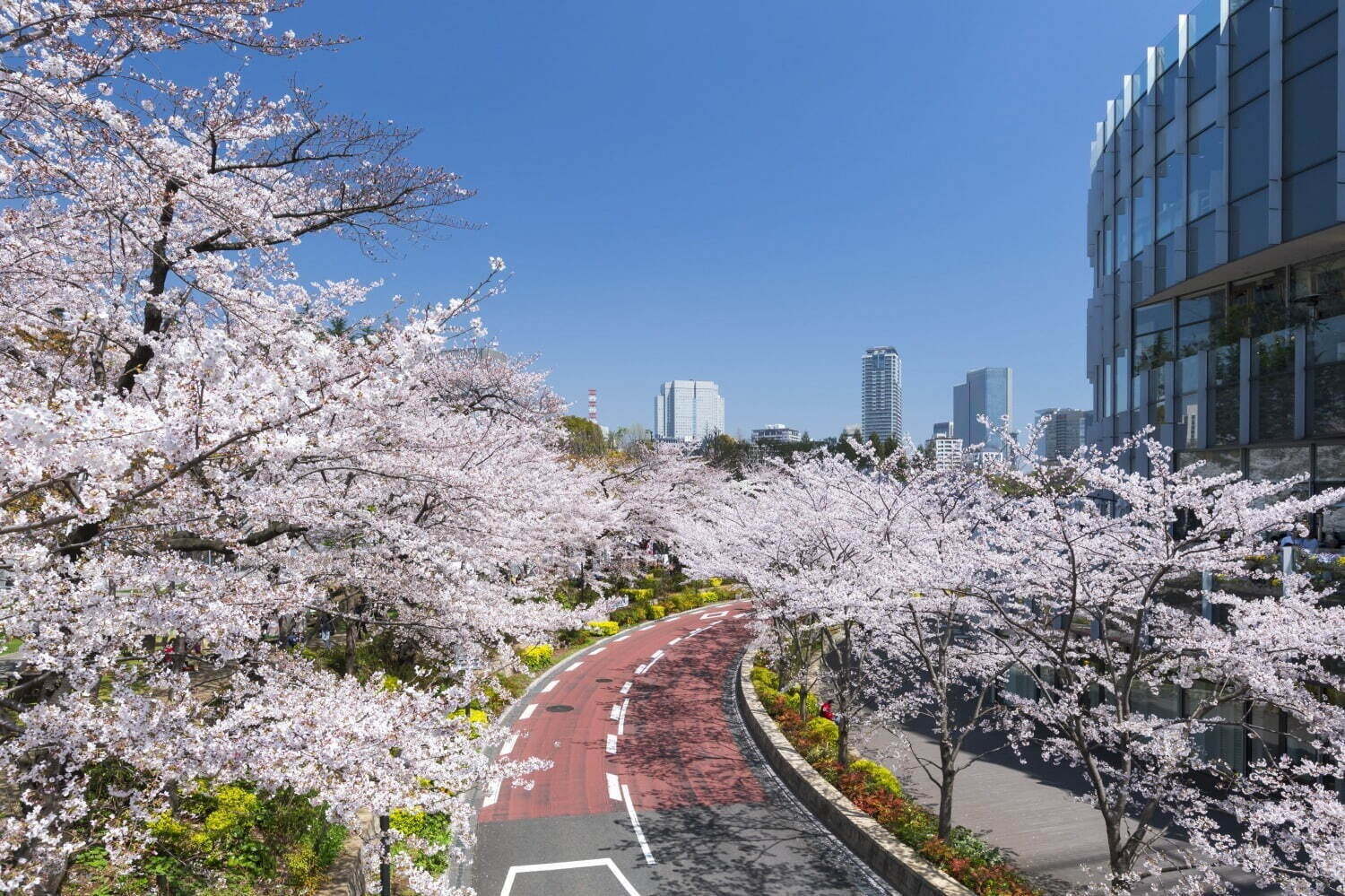 春イベント2024年【関東編】東京・首都圏のおでかけ＆グルメフェス、おすすめ花見イベントも紹介｜写真16