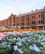 春イベント2024年【関東編】東京・首都圏のおでかけ＆グルメフェス、おすすめ花見イベントも紹介｜写真1