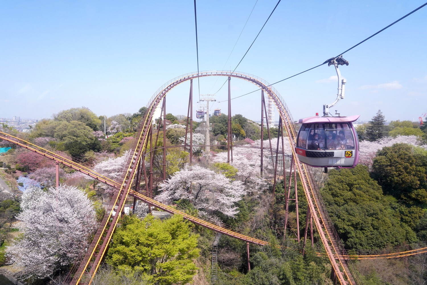 よみうりランド「夜桜ジュエルミネーション」約800本の桜を満喫、“桜をイメージ”幻想的な光の演出も｜写真3