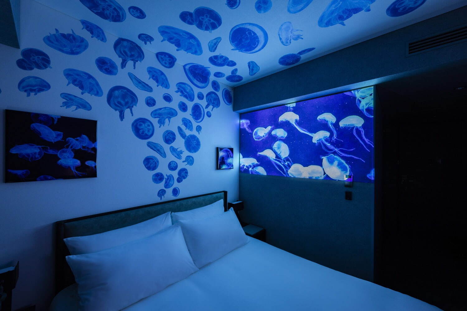 サッポロストリームホテル、壁と天井一面にクラゲが泳ぐ限定宿泊プラン - アオアオ サッポロとコラボ｜写真1