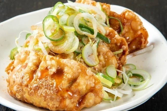 餃子｜春イベント2024年【関西編】大阪・京都などおでかけ＆グルメフェス、おすすめ花見イベントも紹介
