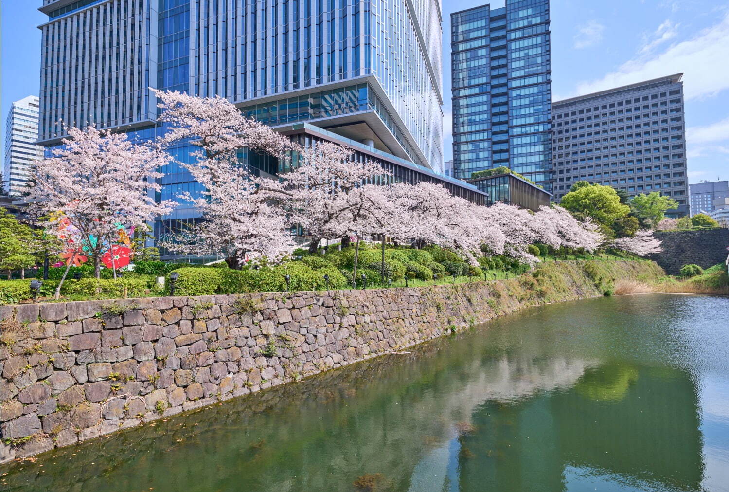 東京ガーデンテラス紀尾井町の春イベント、“虹色に染まる”夜桜ライトアップ＆「花見弁当」など限定グルメ｜写真2