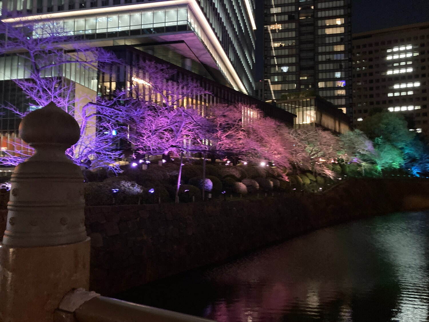 東京ガーデンテラス紀尾井町の春イベント、“虹色に染まる”夜桜ライトアップ＆「花見弁当」など限定グルメ｜写真5