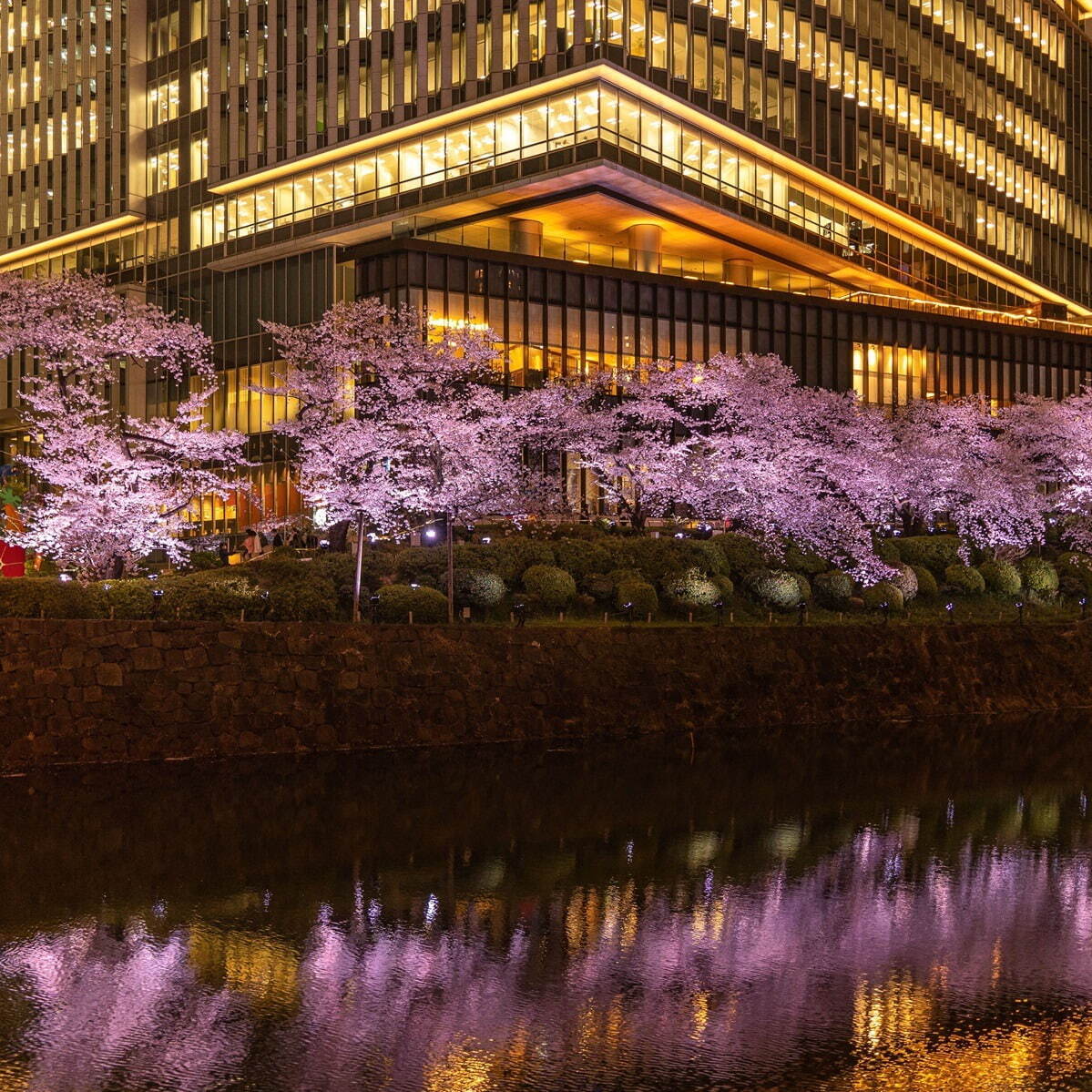 東京ガーデンテラス紀尾井町の春イベント、“虹色に染まる”夜桜ライトアップ＆「花見弁当」など限定グルメ｜写真4