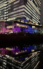 東京ガーデンテラス紀尾井町の春イベント、“虹色に染まる”夜桜ライトアップ＆「花見弁当」など限定グルメ｜写真18