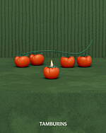 タンバリンズ(TAMBURINS) タンバリンズ｜写真15
