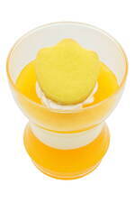 東京ディズニーランド“ドナルドが主役”のグッズ＆メニュー、ベレー帽や得意げなドナルド描いた雑貨｜写真59