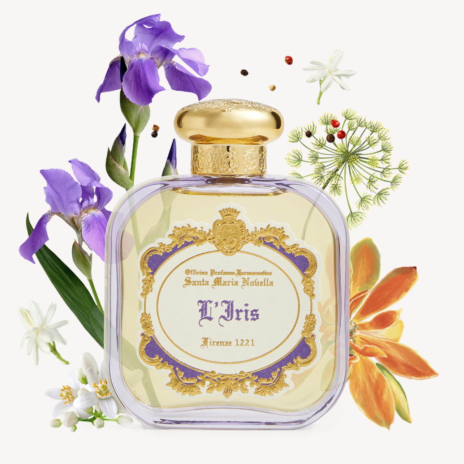 「アイリス」50ml 28,600 円、100mL 41,800円