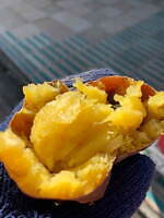 「芋フェス」愛知・豊橋で - 全国から14店舗の焼き芋屋が集結、ほっくり焼き芋やスイートポテトなど｜写真10