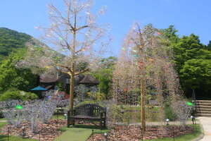箱根ガラスの森美術館“山桜＆しだれ桜”モチーフの春限定ツリー、約10万2千粒のクリスタルガラスで