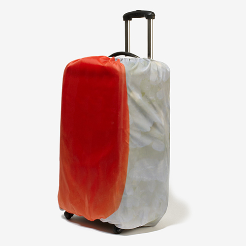 スーツケースがお寿司に！？タマゴやサーモン、マグロ、海老のネタ4種｜写真9