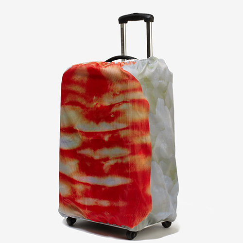 スーツケースがお寿司に！？タマゴやサーモン、マグロ、海老のネタ4種 | 写真