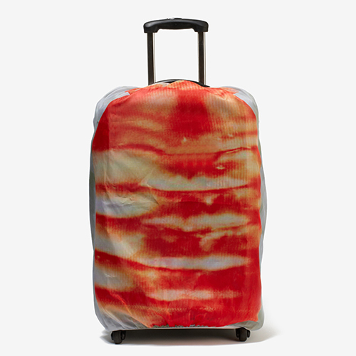 スーツケースがお寿司に！？タマゴやサーモン、マグロ、海老のネタ4種｜写真23