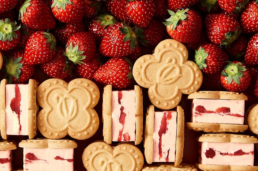 ベリールビーカット「ベリールビーカット」