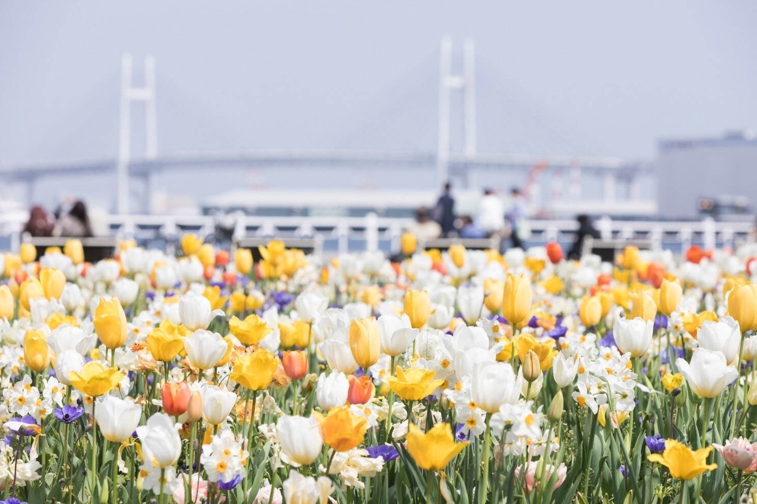 「ガーデンネックレス横浜2024」