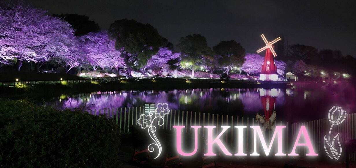 「花と光のムーブメント」小金井公園など都内3か所で、約1,400本の桜やネモフィラ×ライトアップ｜写真12