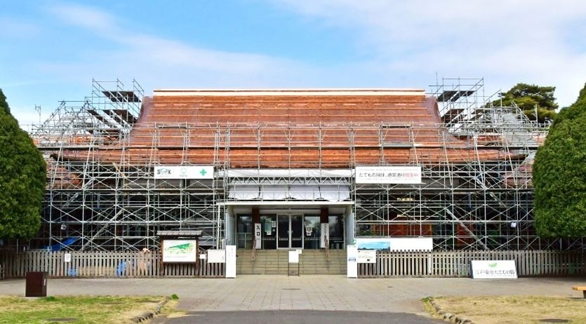 「花と光のムーブメント」小金井公園など都内3か所で、約1,400本の桜やネモフィラ×ライトアップ｜写真5