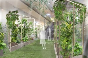 表参道ヒルズに「都会のオアシス」出現 - 植物をテーマにした展示やアイテム