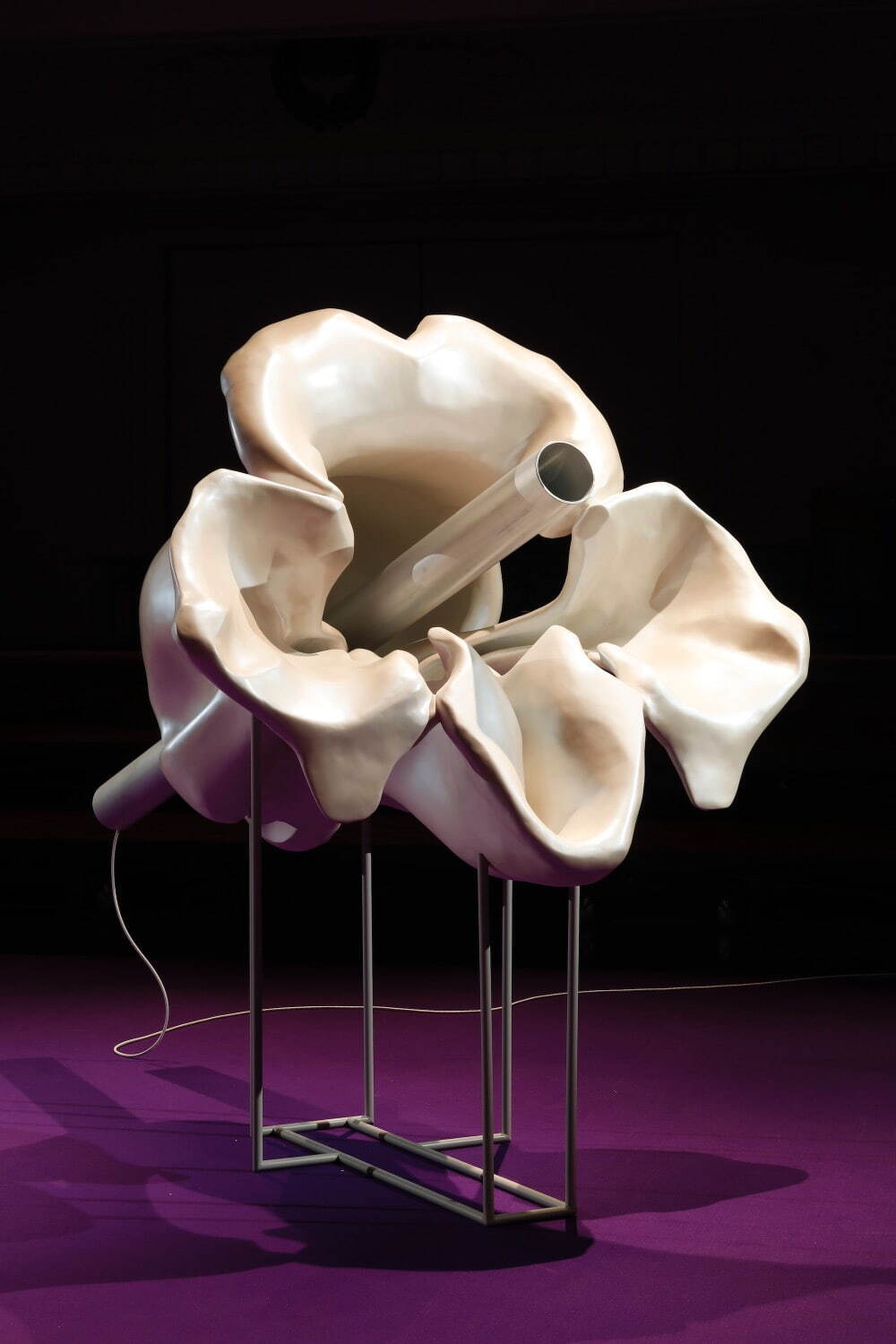 ［参考図版］ 谷中佑輔 《고래(ゴレ)の胴体》 2019年
撮影：来田猛