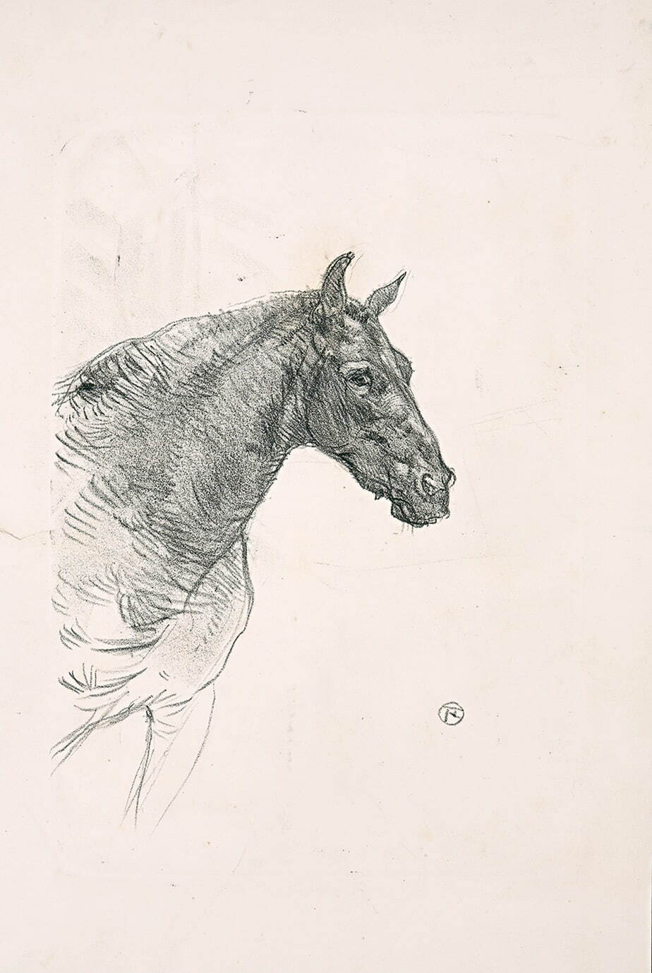 アンリ・ド・トゥールーズ＝ロートレック 《ポニーのフィリベール》 1898年 リトグラフ The Firos Collection