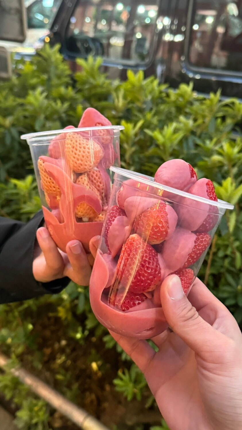 本格いちごチョコ専門店「ストロベリーチョコ」原宿に、生チョコとろける国産苺スイーツ｜写真3