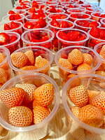 本格いちごチョコ専門店「ストロベリーチョコ」原宿に、生チョコとろける国産苺スイーツ｜写真1