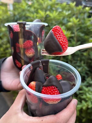 本格いちごチョコ専門店「ストロベリーチョコ」原宿に、生チョコとろける国産苺スイーツ｜写真5