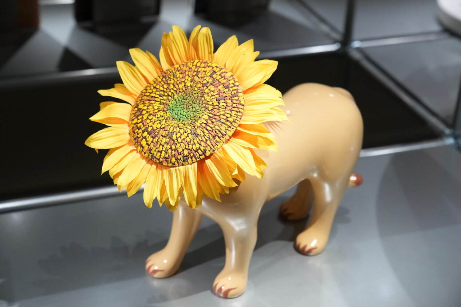 ビートたけし LION 2009年
© T.N GON Co., Ltd.