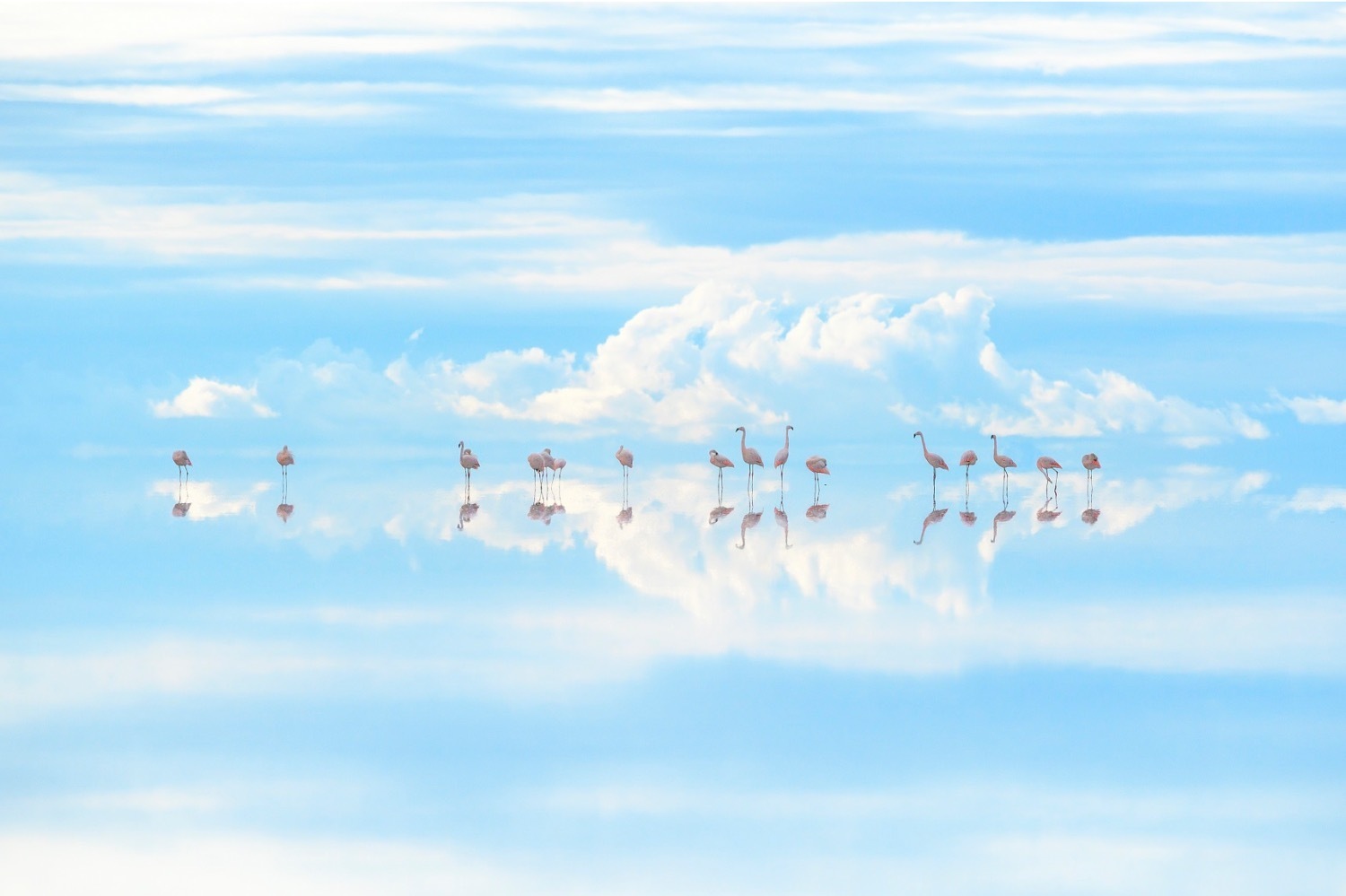 写真家・高砂淳二の展覧会が美術館「えき」KYOTOで - 世界各地の自然を捉えた作品約100点を展示