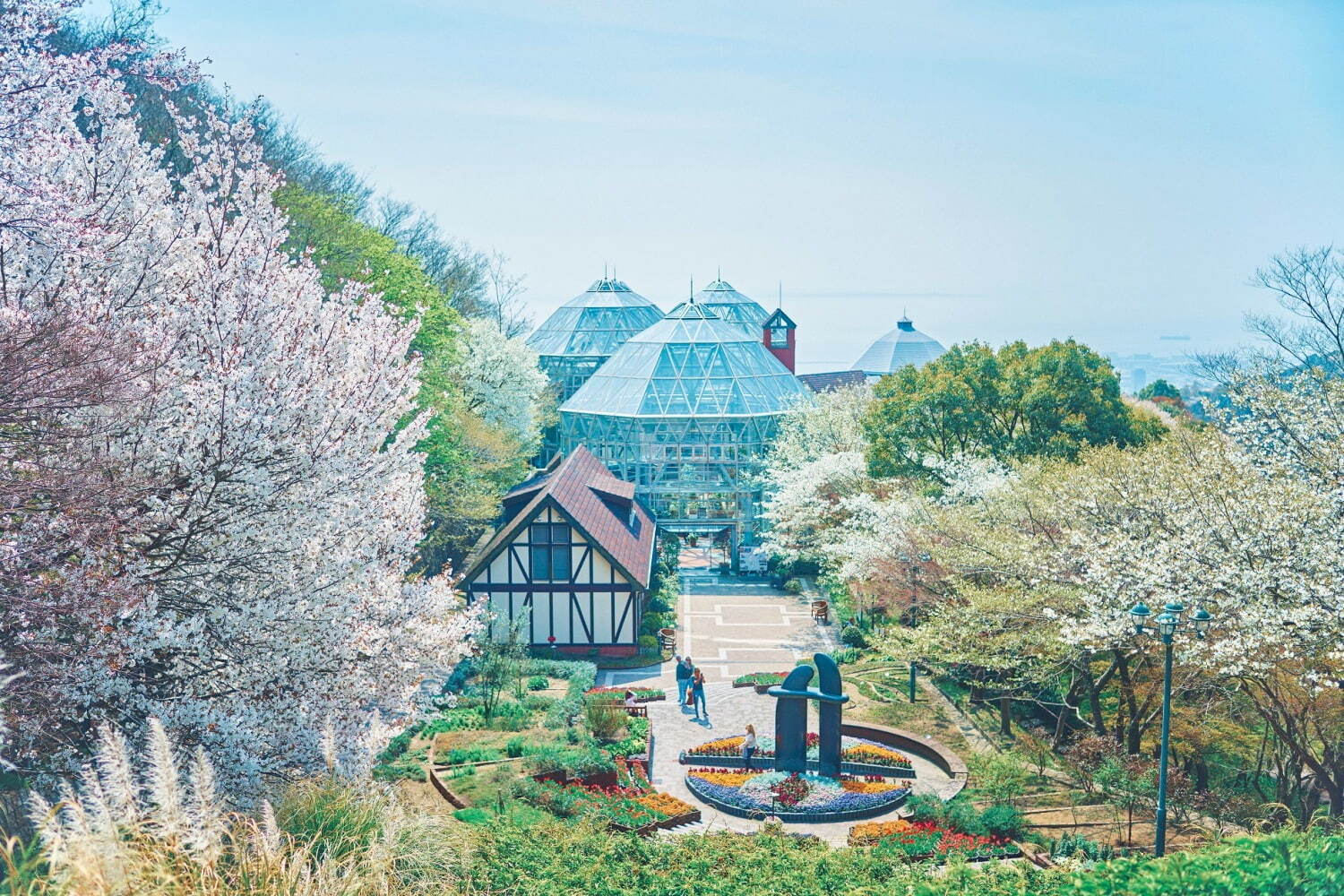 神戸布引ハーブ園でお花見 - 山桜と神戸の街並みを眺める展望エリア、手ぶらピクニックプランも｜写真1