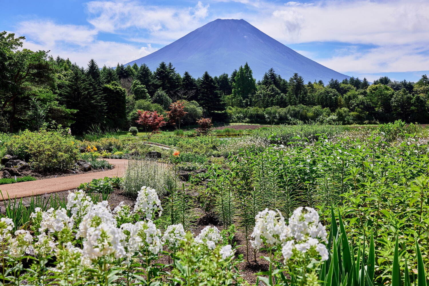 「ピーターラビット」の世界観を楽しむ首都圏最大のイギリス式庭園、富士本栖湖リゾートで｜写真12